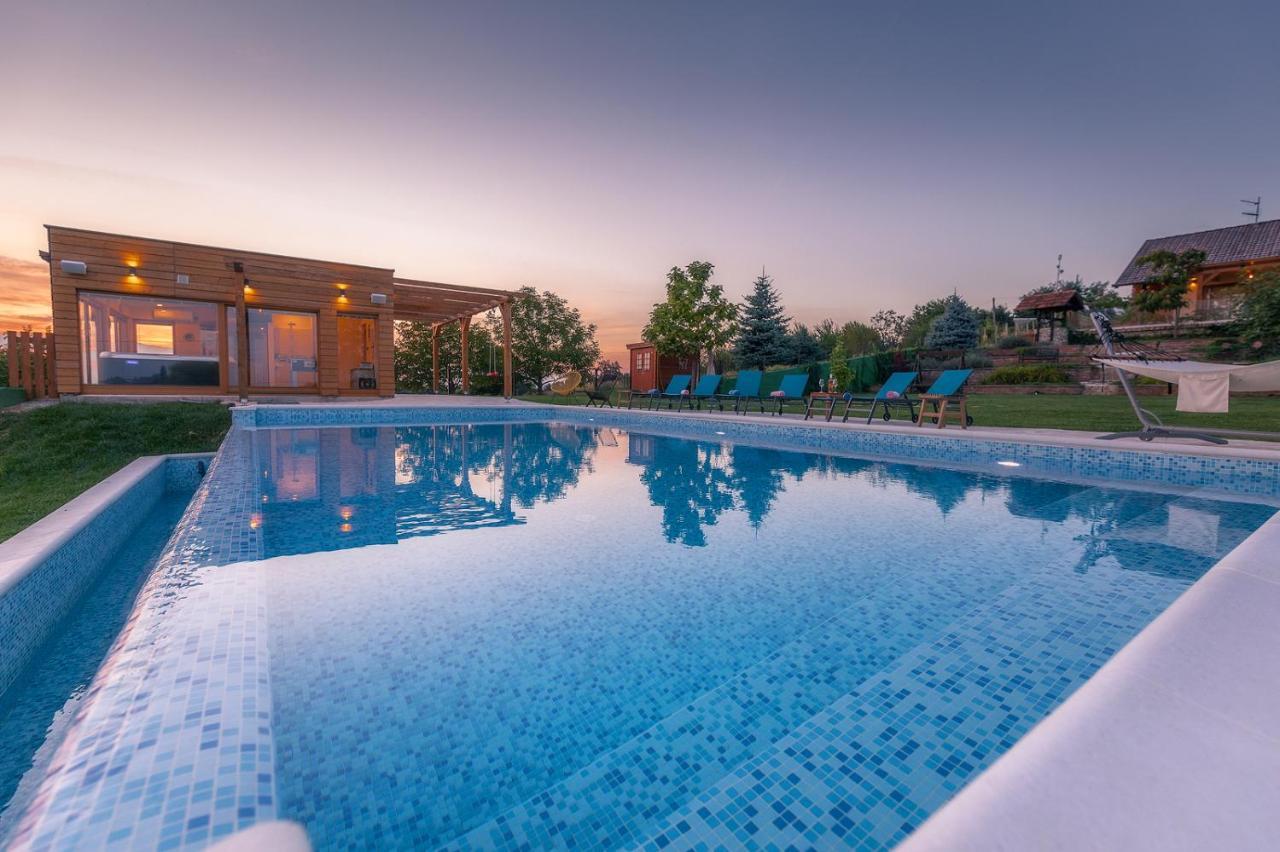 Gran Vista Holiday Home Gornji Mihaljevec エクステリア 写真