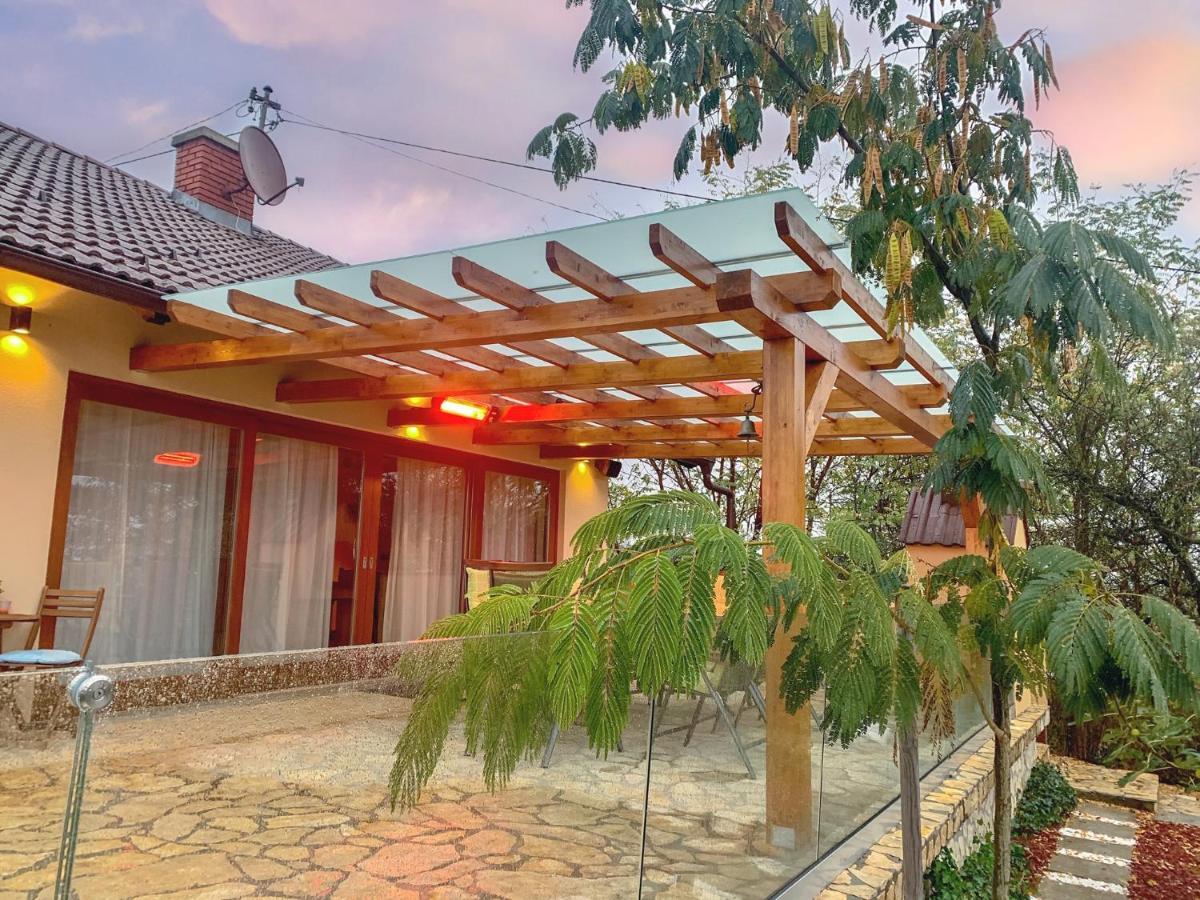 Gran Vista Holiday Home Gornji Mihaljevec エクステリア 写真